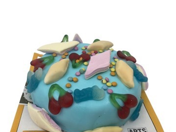 Snoepjes taart Stoer 8-10st.